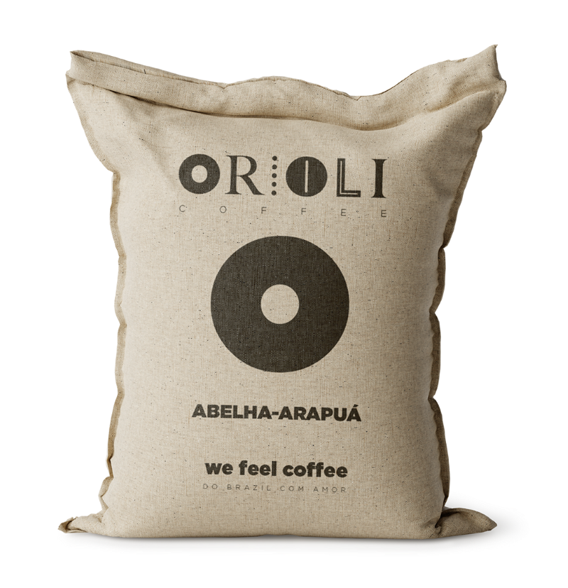 ABELHA-ARAPUÁ